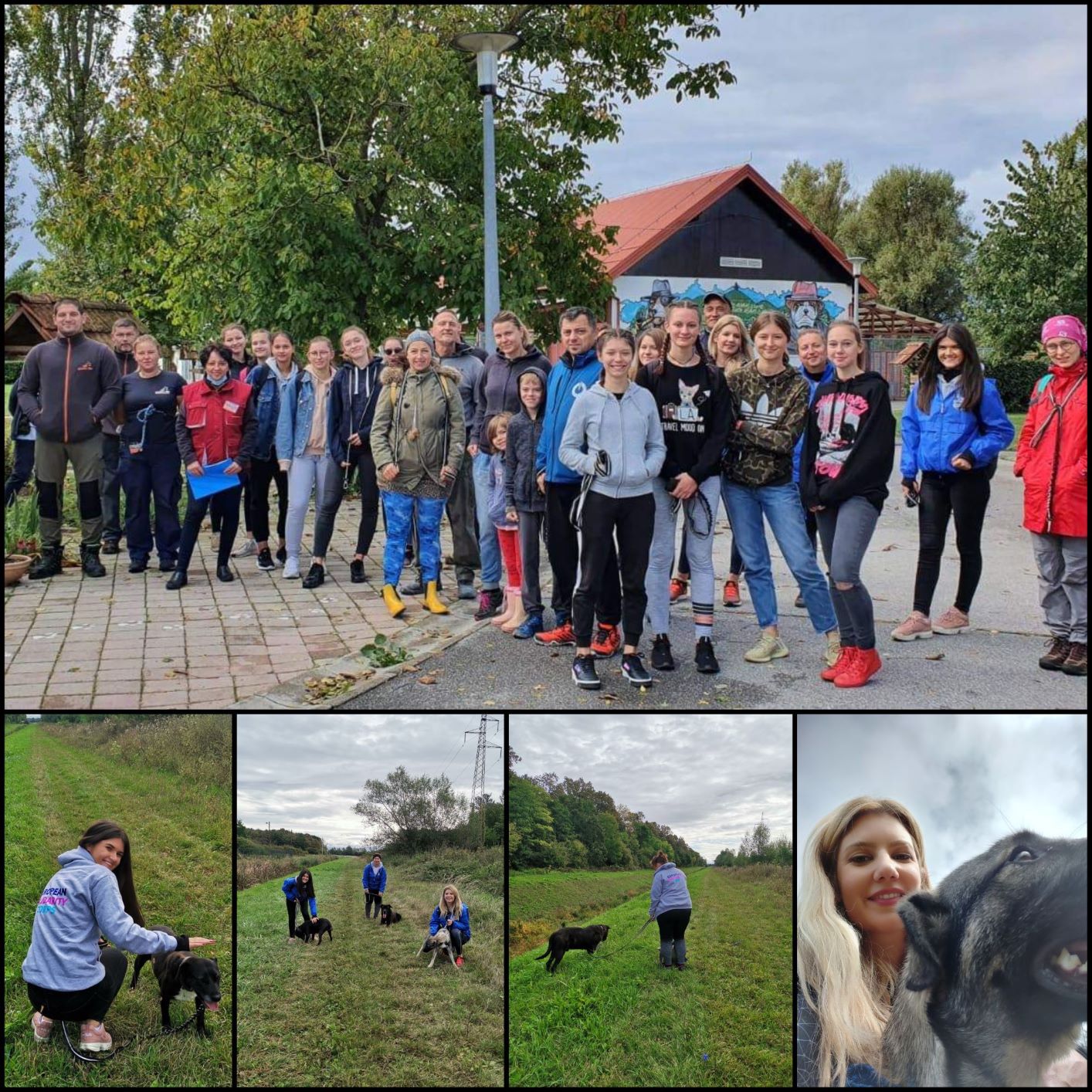 Šetanjem pasa u Azilu Dumovec AMPEU se uključila u kampanju Hrvatska volontira   - Slika 1