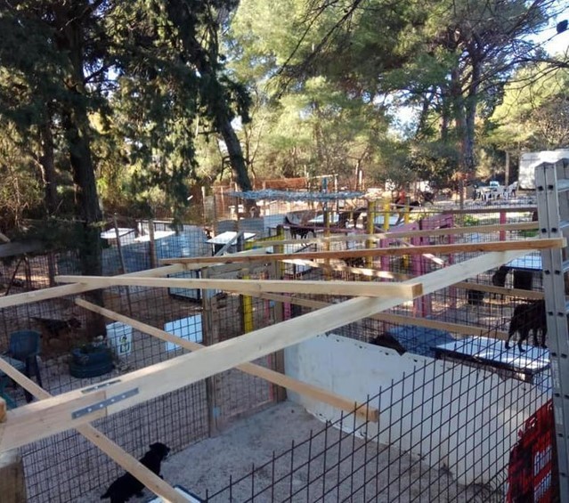 Porces izrade dvije nadstrešnice za pse u Zadarskom azilu