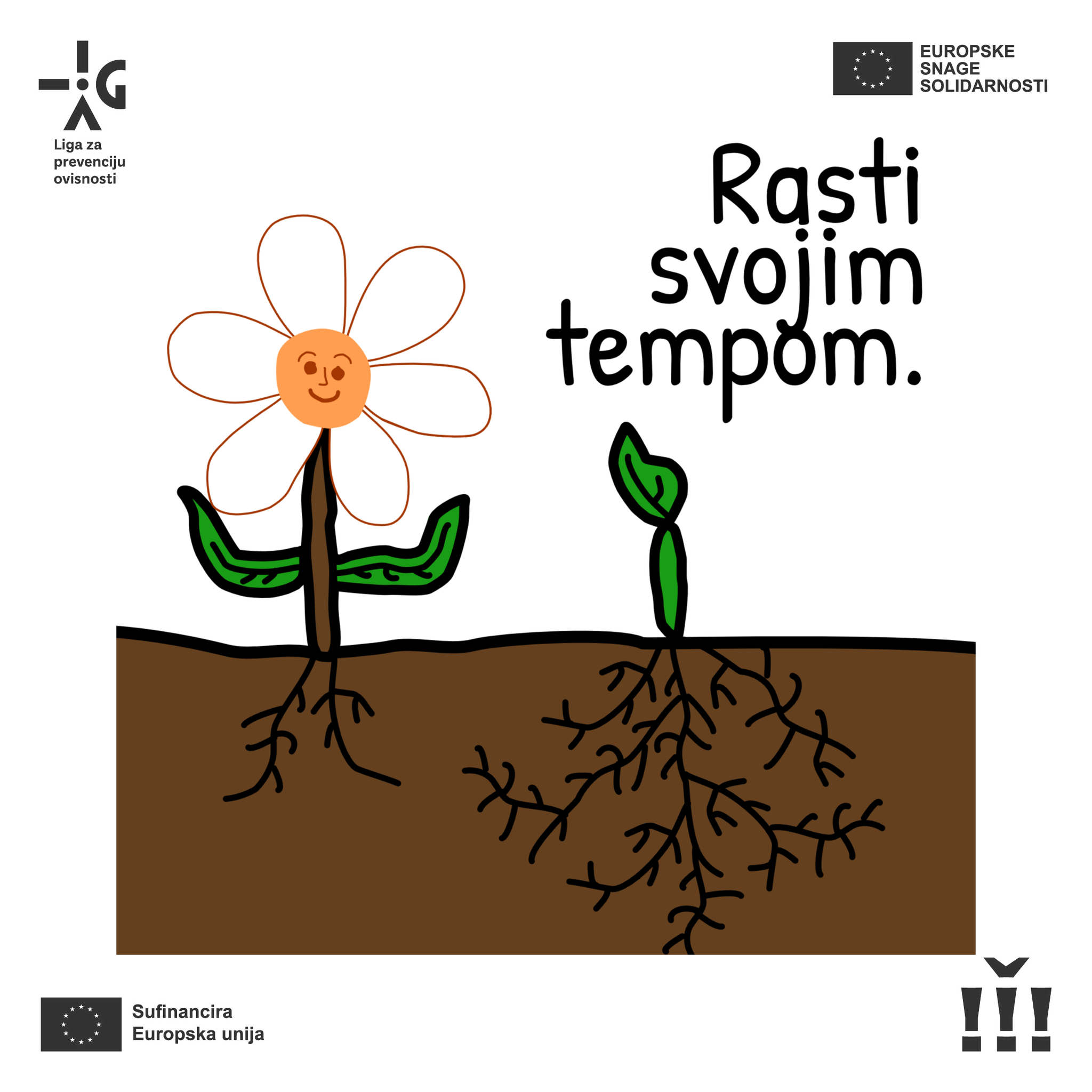 Rasti svojim tempom vizual